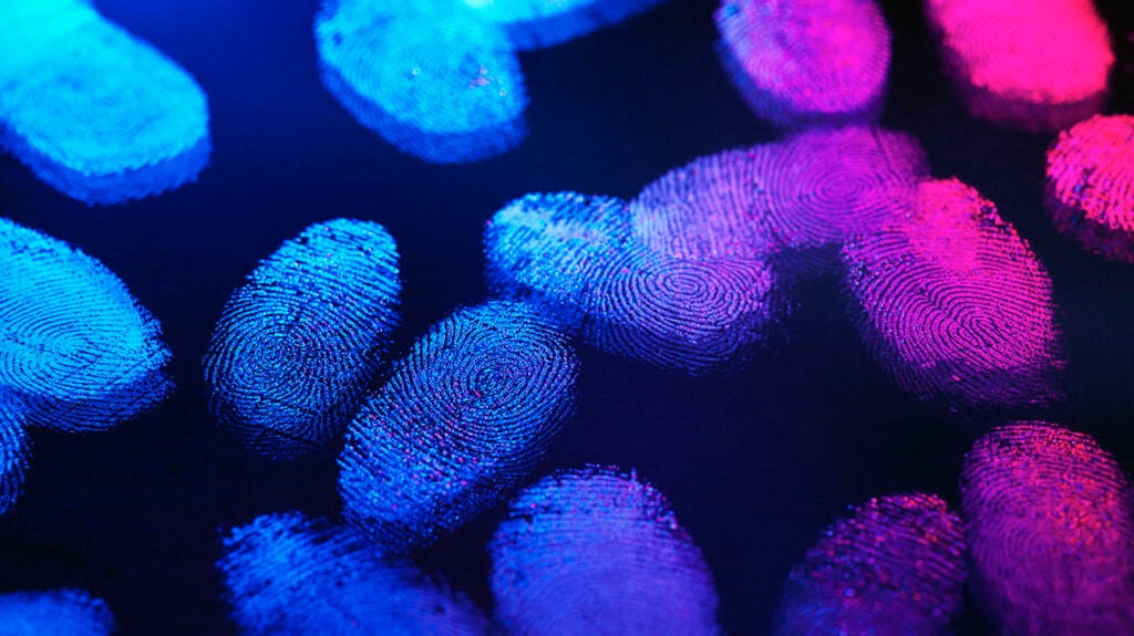 Curated visual reference: Is Liver Cancer Genetic Genetic Testing And Other Causes Photo Inspiration