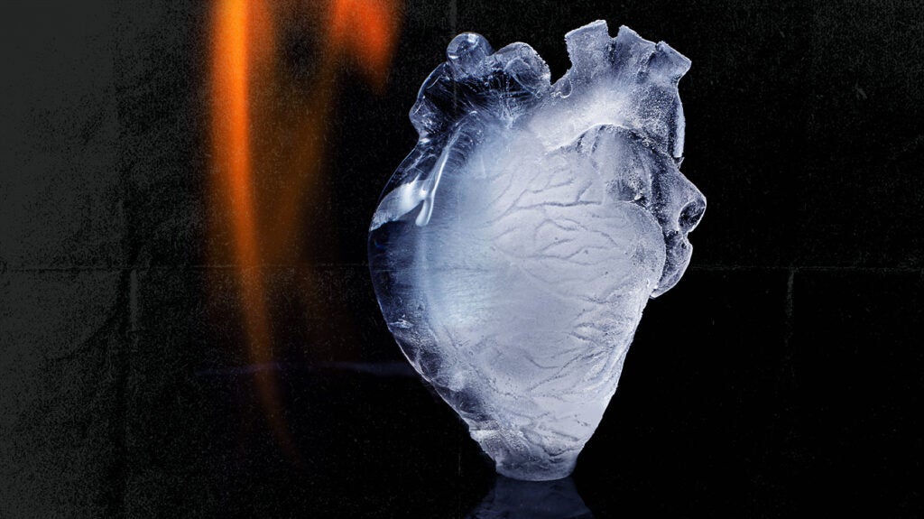 Stenosis of the heart Types, causes, treatment, and more