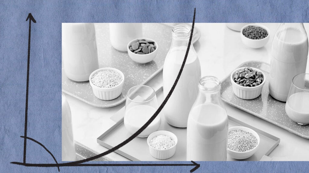 Plantbased milk alternatives New report breaks down benefits of each