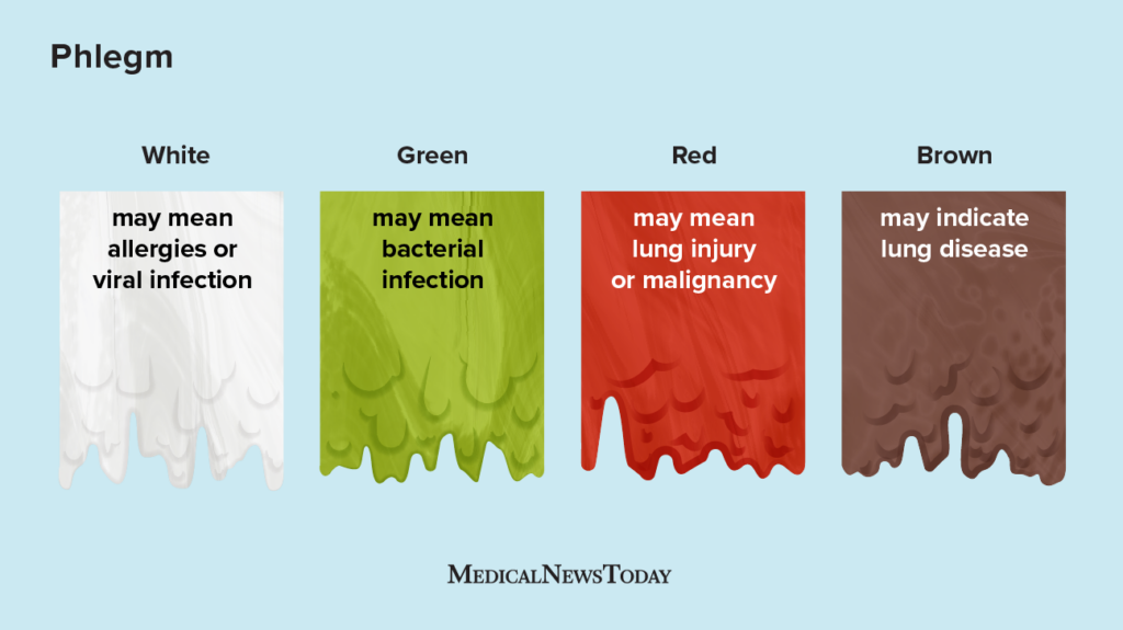 sputum definition colors causes and when to see a doctor