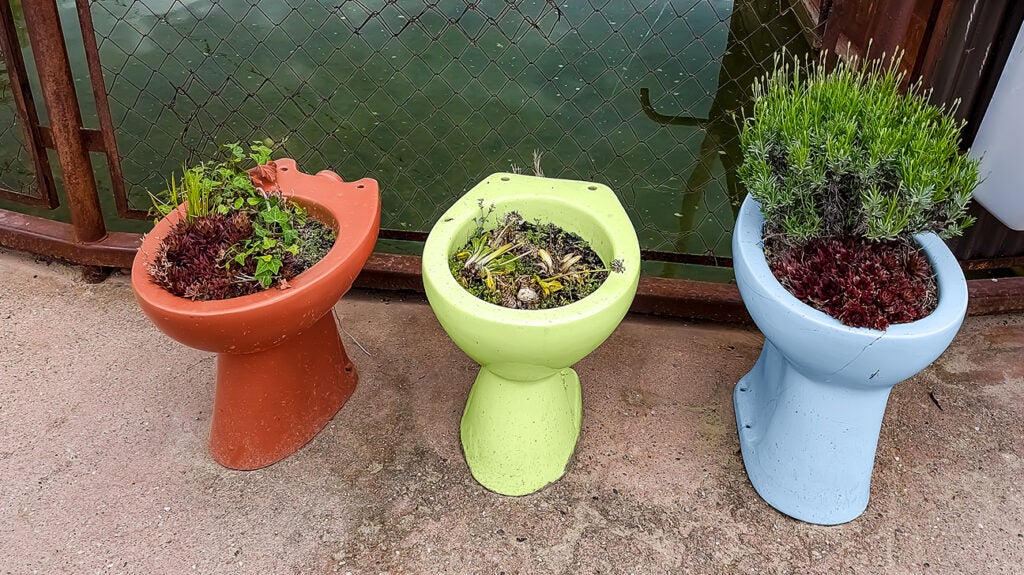 STDs and toilet seats Possible risks and preventions