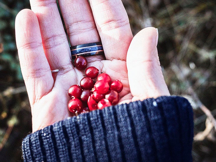 Wild Berries and benefits they bring