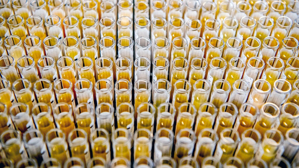 Honeybee-based SARS-CoV-2 diagnostics