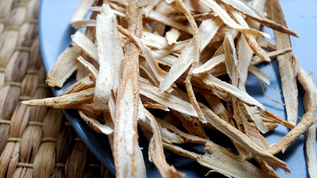 Astragalus Benefits, side effects, and frequently asked questions