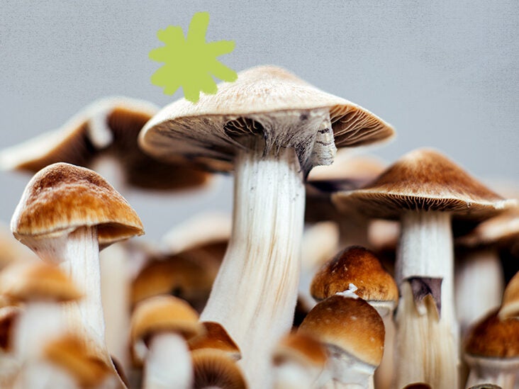 magic mushrooms effects
