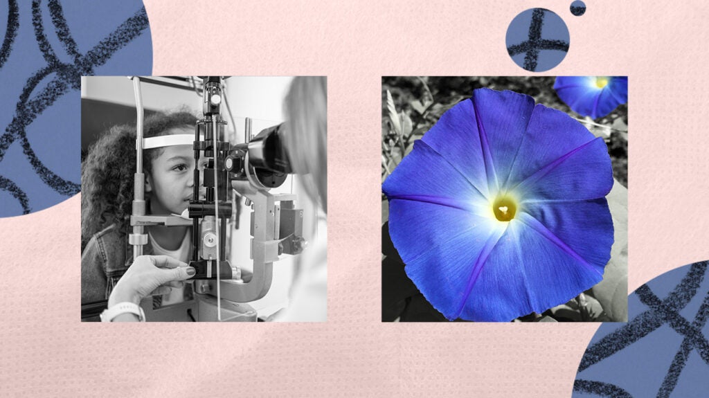 Morning glory syndrome What it is, symptoms, and more