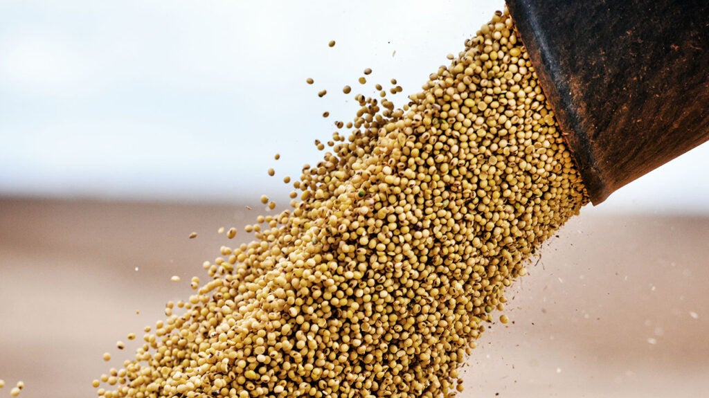 LDL cholesterol Soybean protein may be as effective as statins