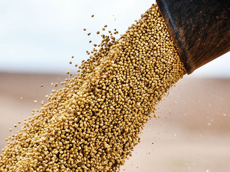 Soybean protein may help lower cholesterol, be as beneficial as statins