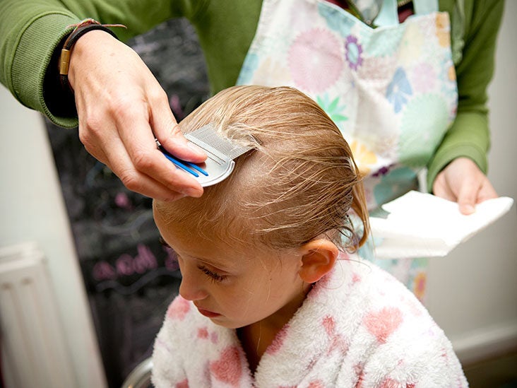Nits vs. lice: Differences, prevention, and FAQ