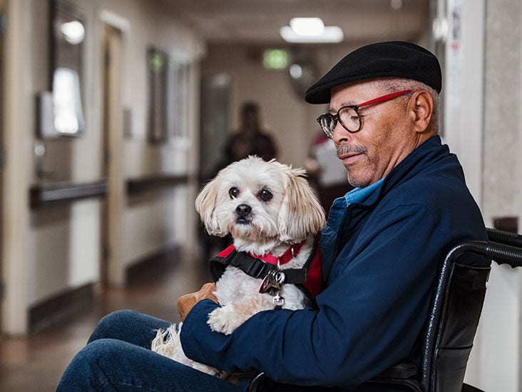 how therapy dog helps alzheimers