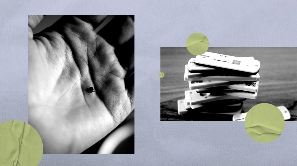 Is COVID19 a trigger for Lyme disease? Research and more