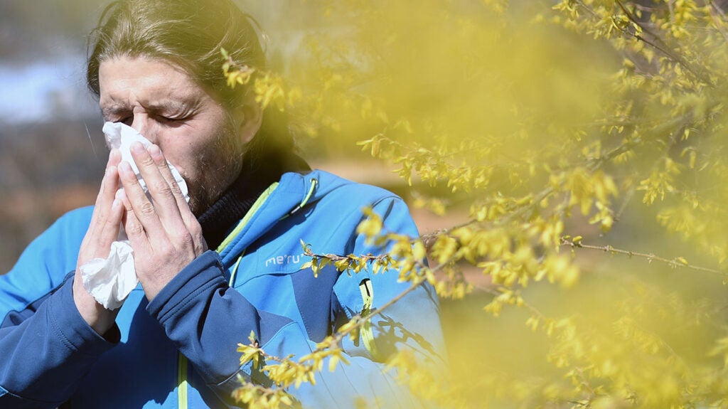 Can Seasonal Allergies Trigger Epilepsy Causes Symptoms And More