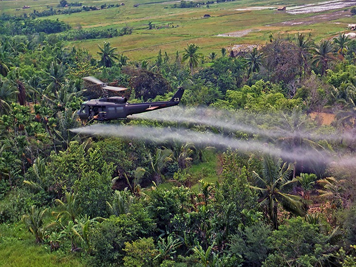 Kidney cancer and Agent Orange Is there a link?