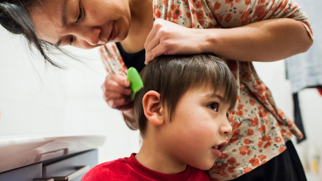 Lice treatments for kids Which types are best?