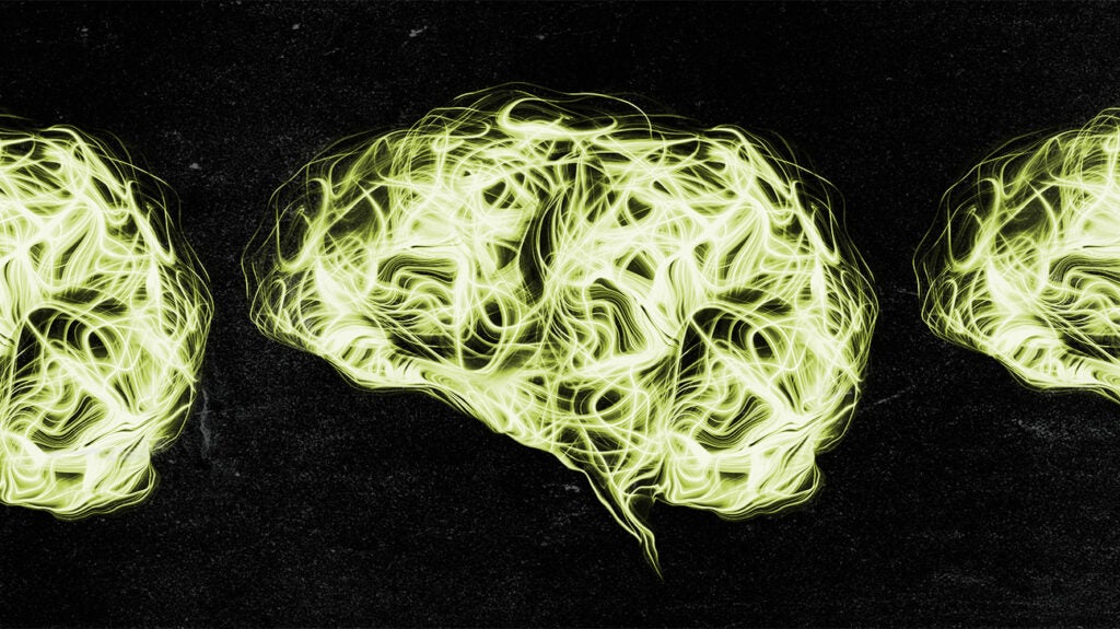 Schizophrenia: Abnormal Cyclic Gene Activity In The Brain A Factor