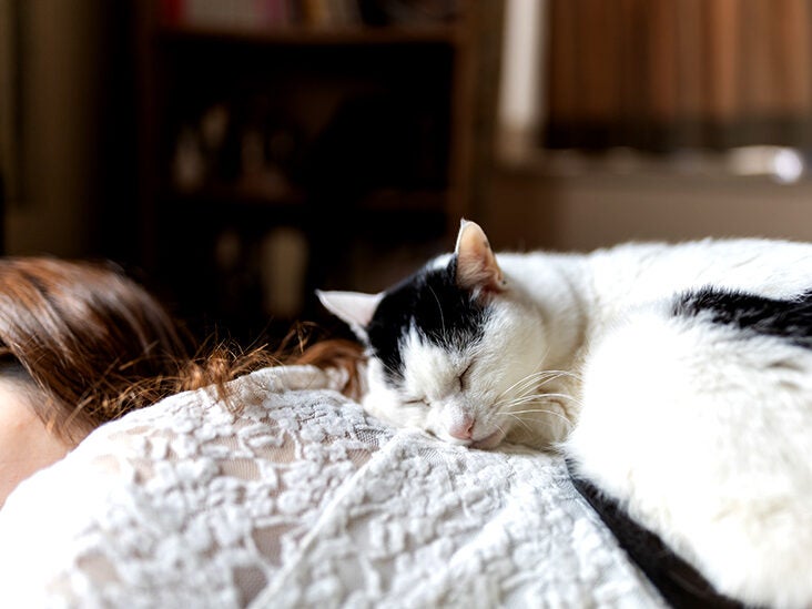 Obesity: How napping longer than 30 minutes may increase the risk - Vimarsana News
