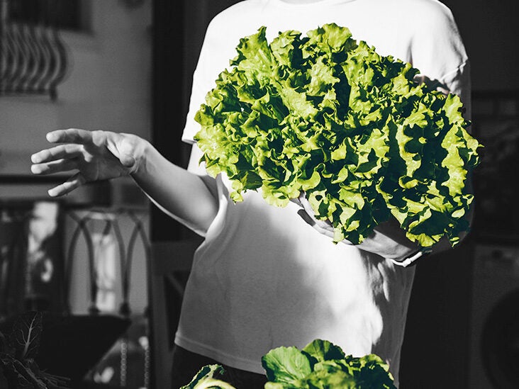 Cholesterol: Plant-based diets may lower risk of stroke, heart attacks - Vimarsana News