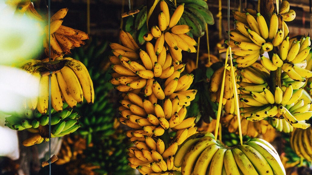 This Post is Bananas (B-A-N-A-N-A-S)