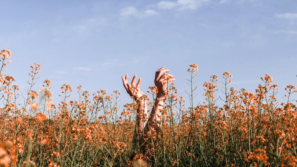 Fall vs. spring allergies: What is the difference?