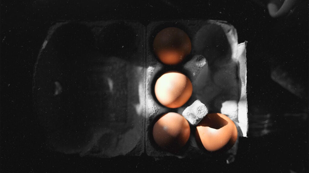How eggs affect gout Safety and recipe ideas
