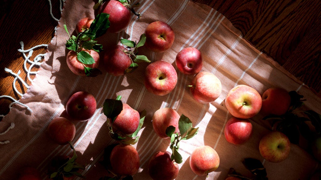 Apples and acid reflux How they help, benefits, apples to try