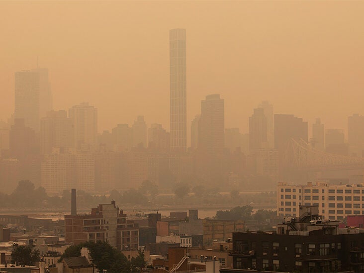 Air pollution raises risk of heart disease-related disability, death - Vimarsana News