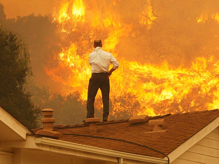 Dementia: Air pollution from wildfires may increase risk, case numbers - Vimarsana News