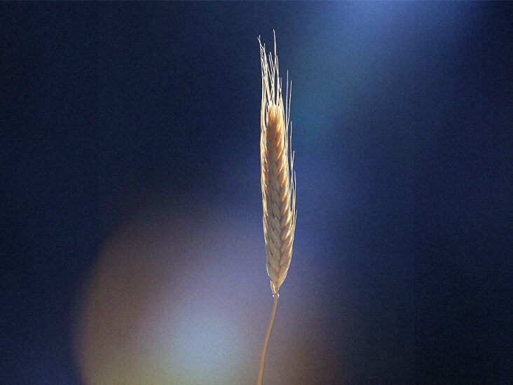 Gluten and brain health: Could gluten drive inflammation? - Vimarsana News