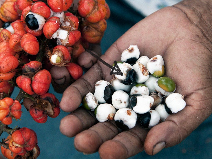 caffeine guarana 