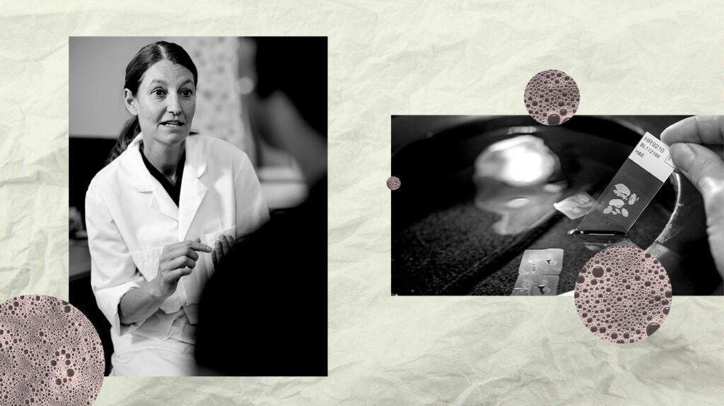 Understanding cancer cells in the body Function and more