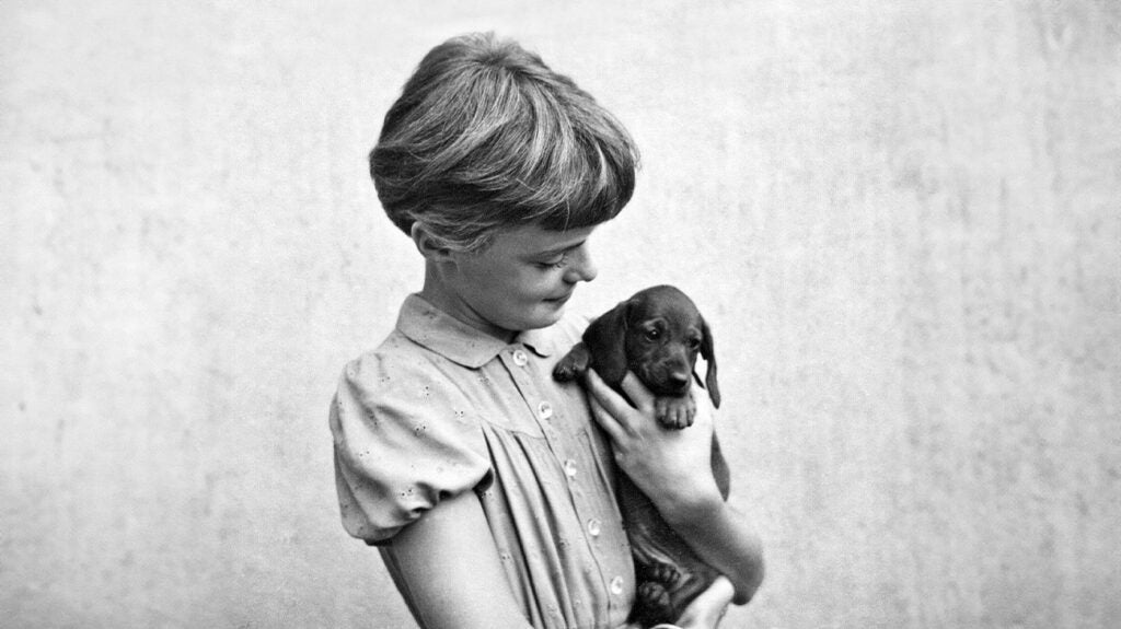 Pets and childhood eczema Trigger or protection?