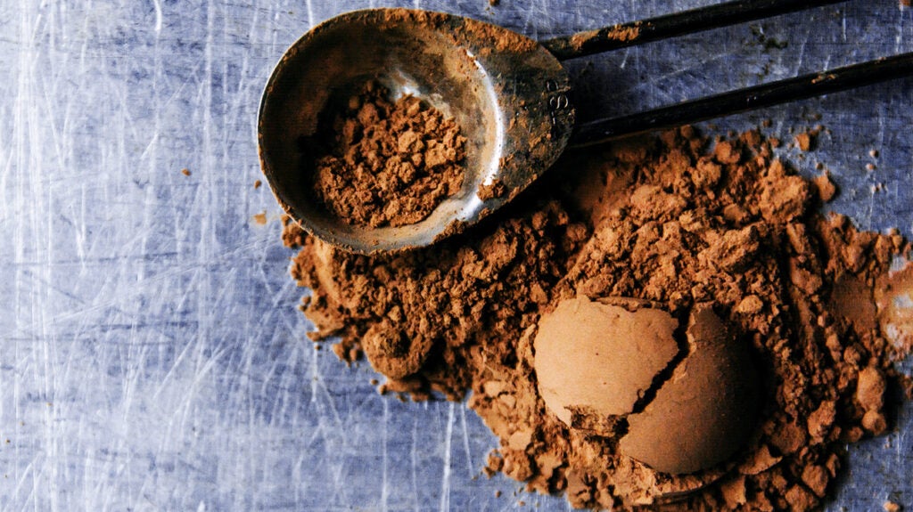 Black Cocoa Powder  The Ultimate Guide! https